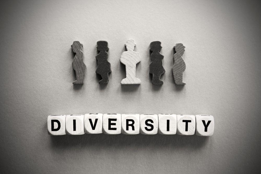 The Diversity Scam