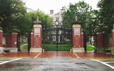 DEI Programs Dying on the Vine